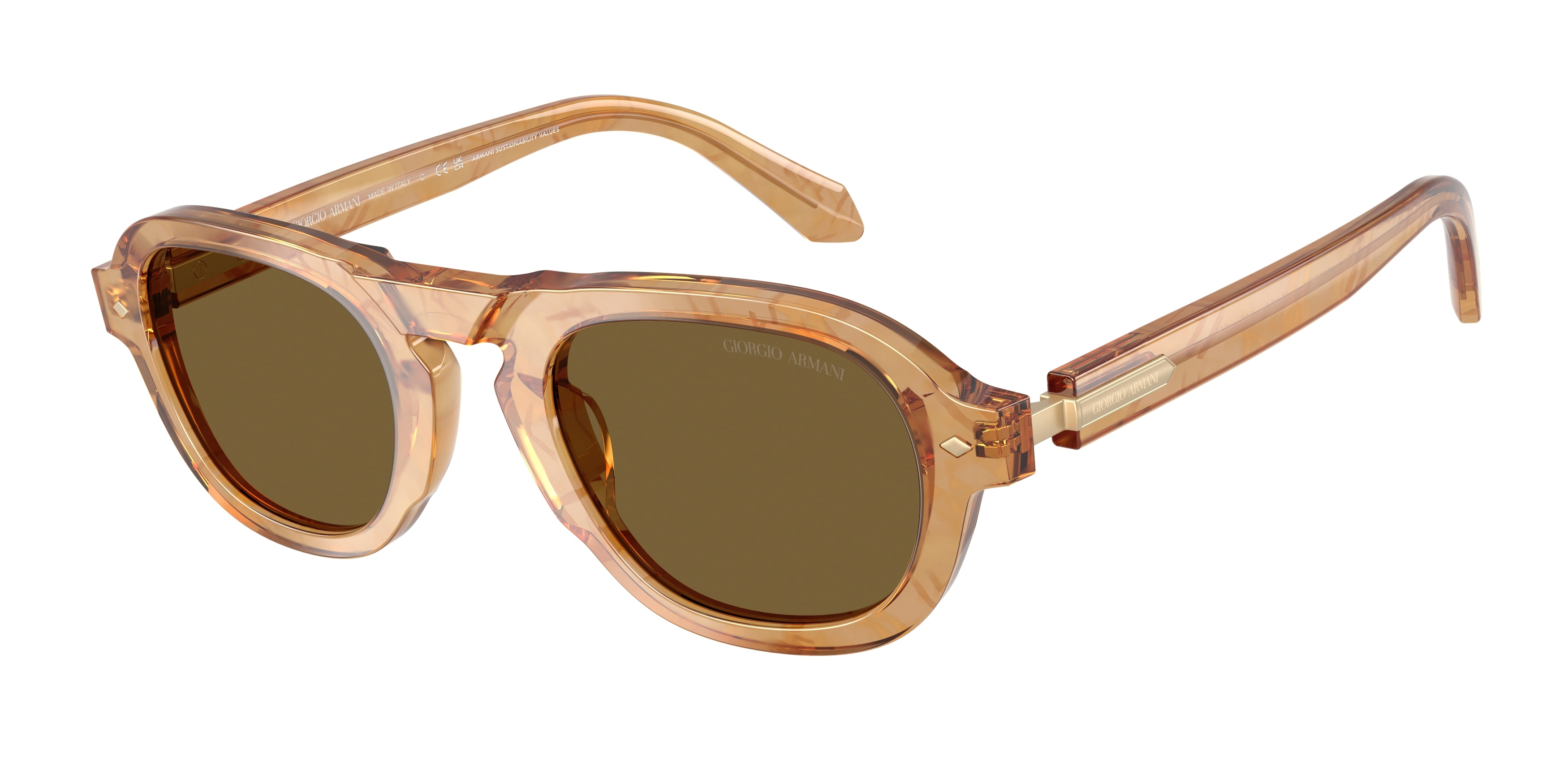 Giorgio Armani AR8244 630073  